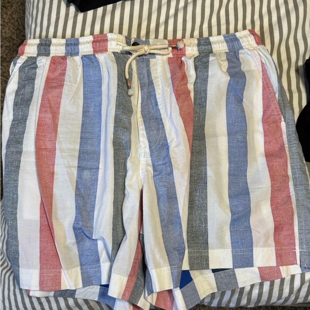 Chubbies Men's Shorts